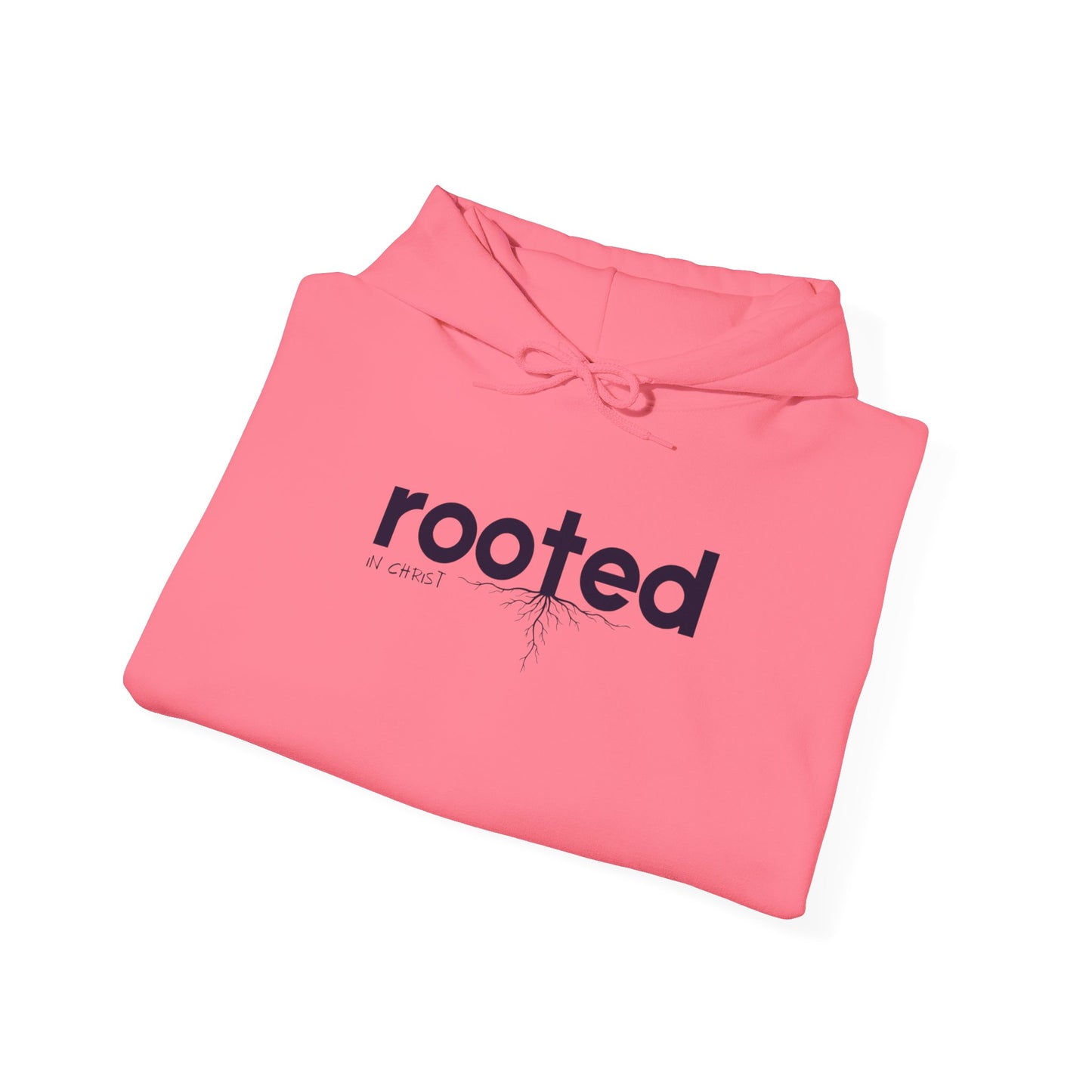 Rooted In Christ Hoodie