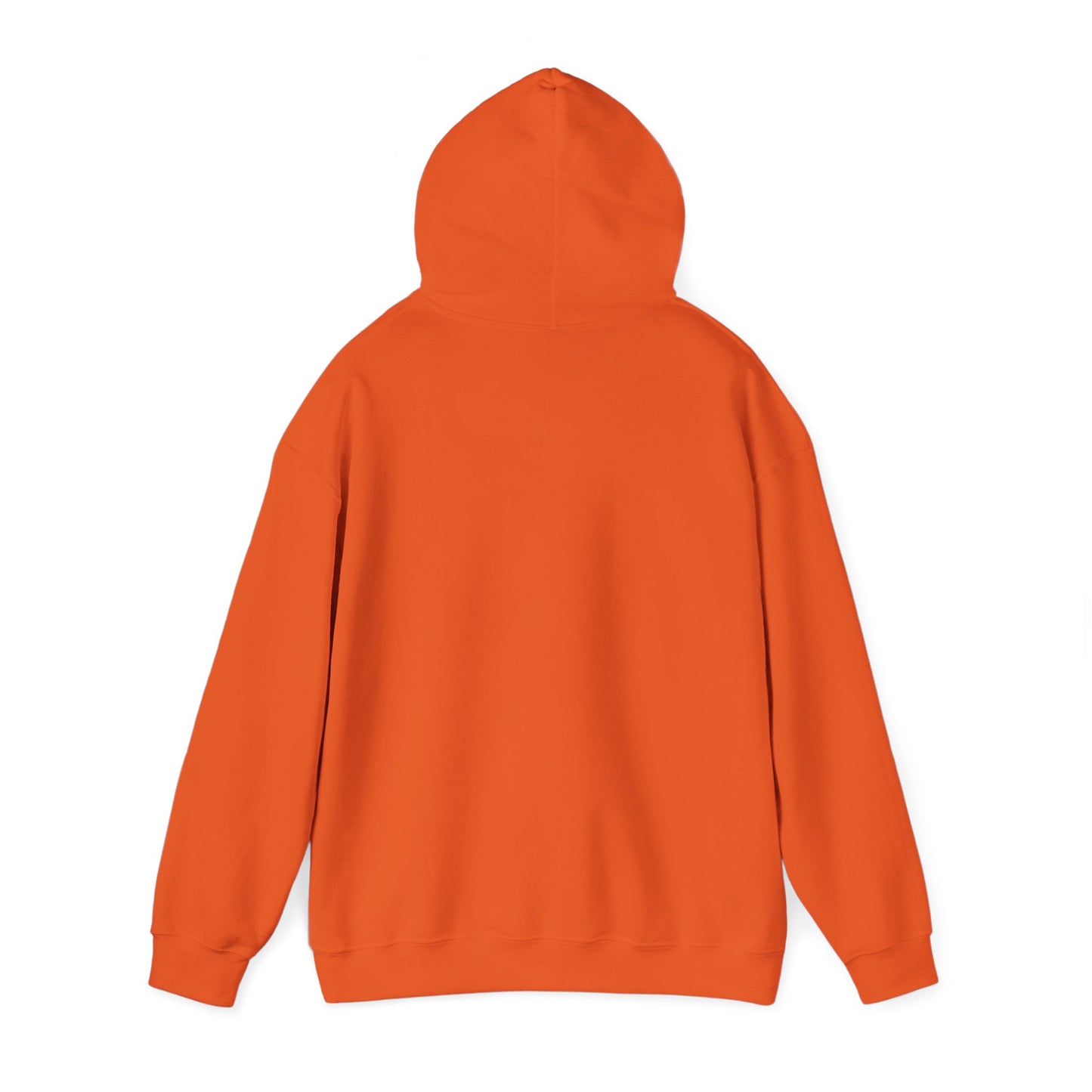 Faith Over Fear Hoodie
